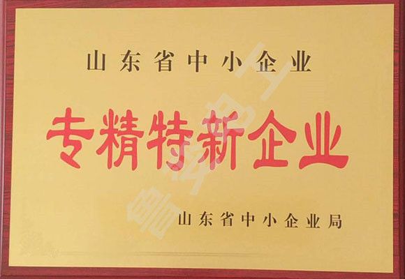 山東省專精特新證書(shū)